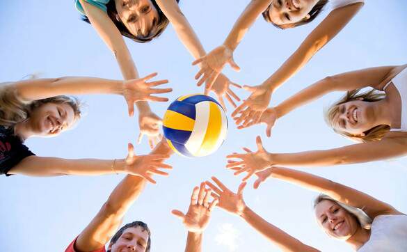 MSC - Volleyball.jpg